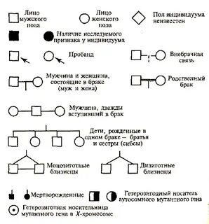 На схемах родословных женщину обозначают