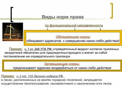 Обязывающие нормы это примеры