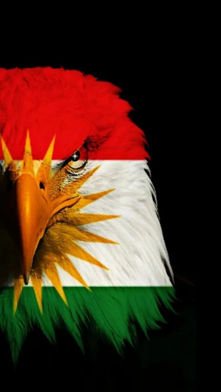 Bologna Process will transform Iraq’s universities Times Higher Education (THE)
