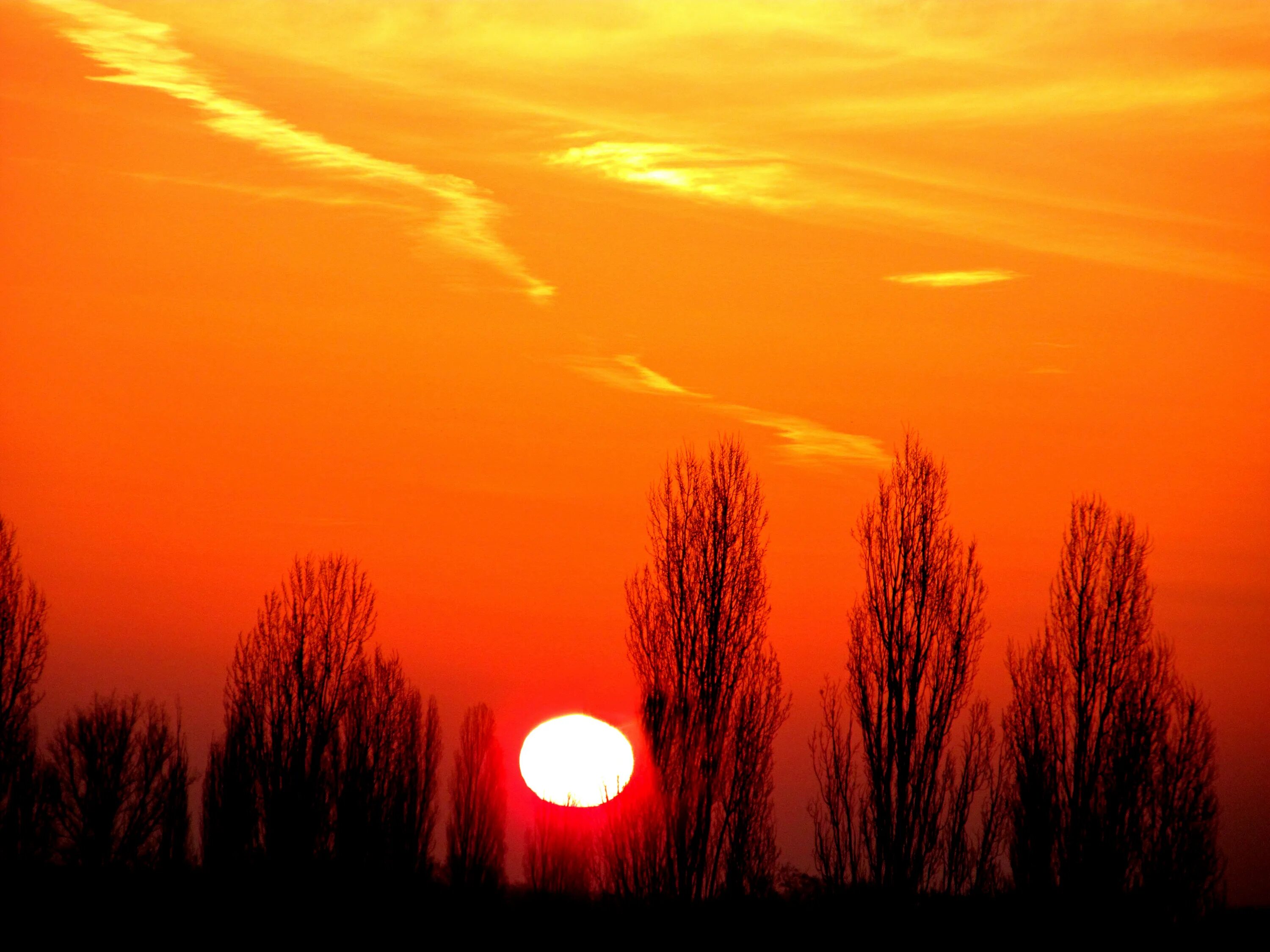 Warm Sunny Images - Free Download on Freepik