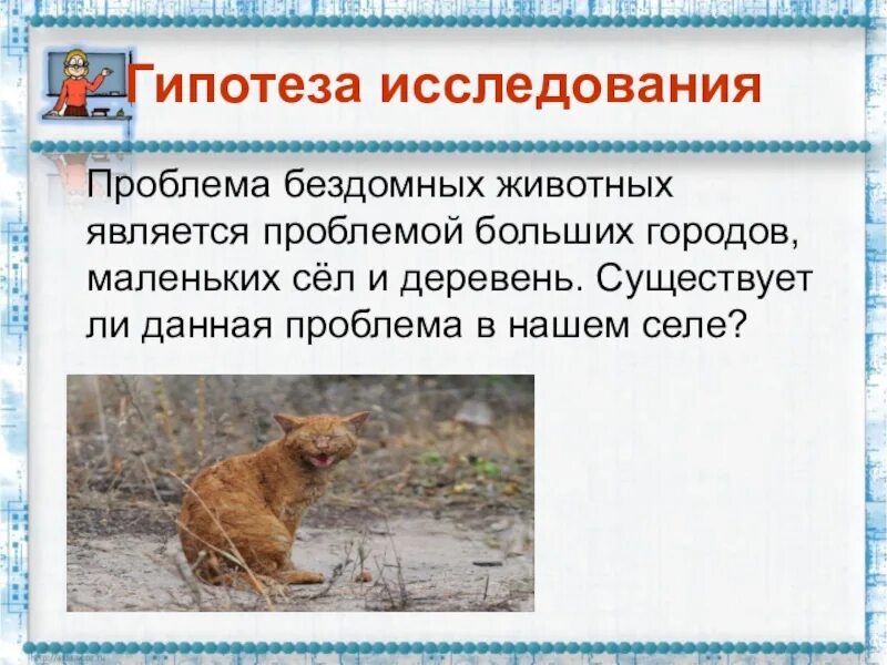 Группа помощи бездомным животным г.о. Чапаевск Ответственное обращение с животны