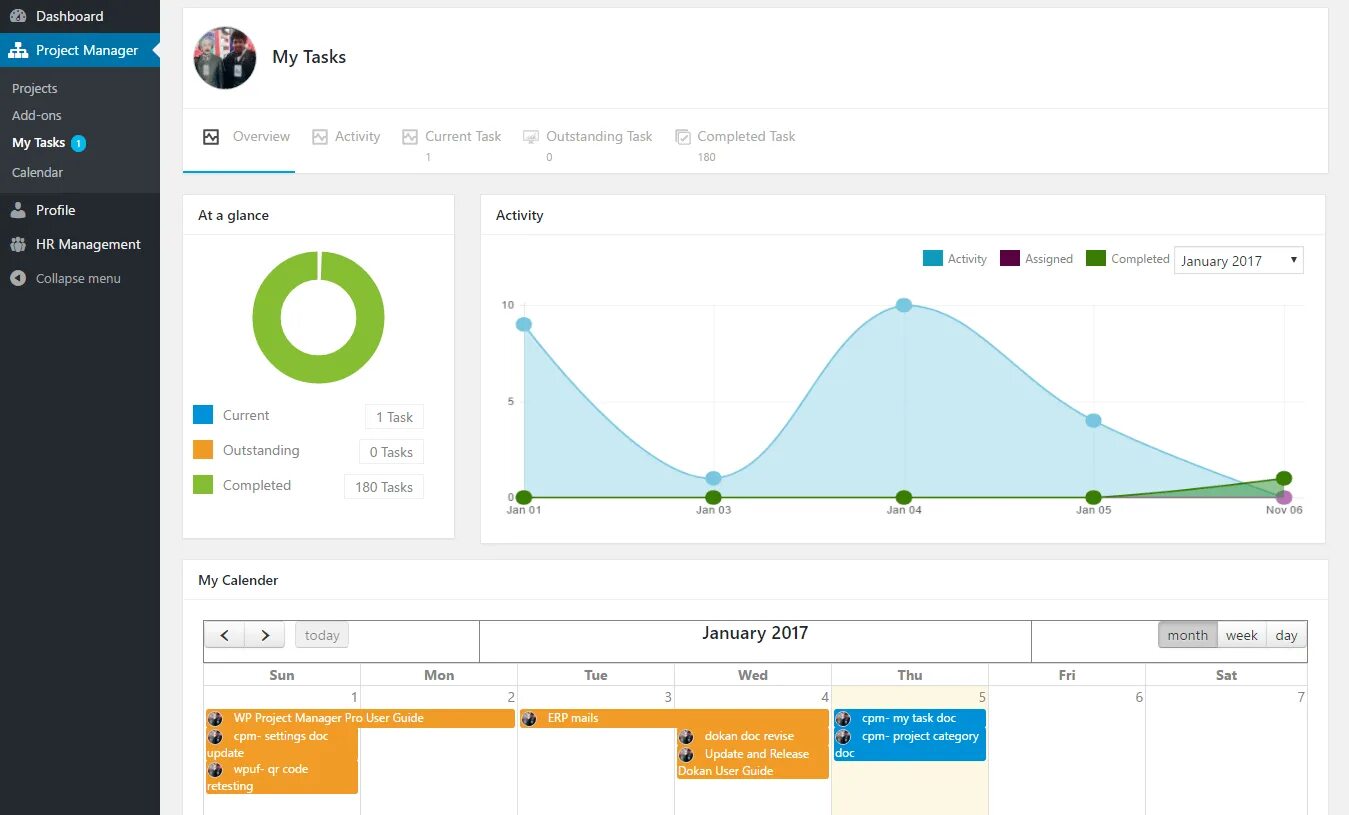 Project manager tasks. Task manager projects.