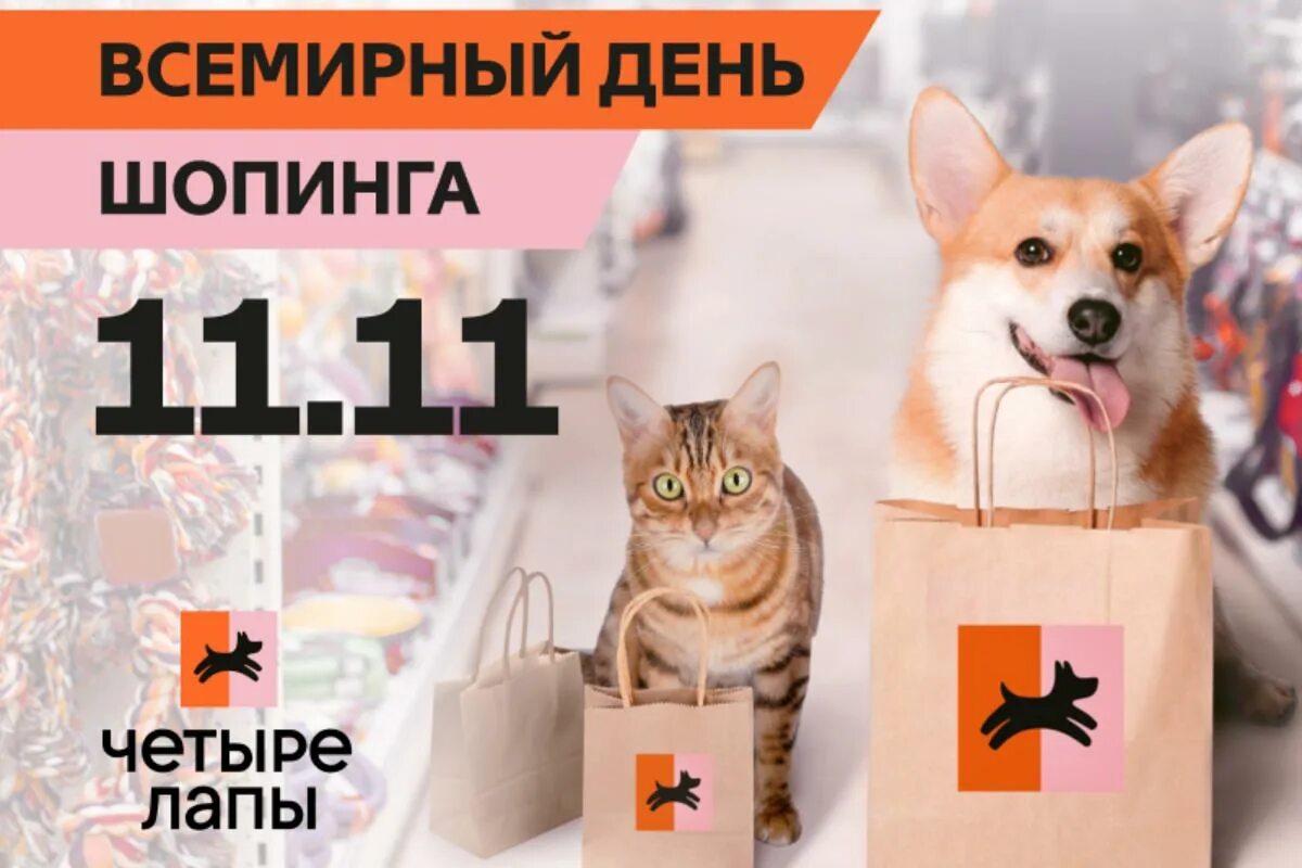 Какого числа день шопинга. 11.11 всемирный день шопинга. 11 ноября день шопинга. всемирный день шопинга картинки. всемирный день шопинга иллюстрация.