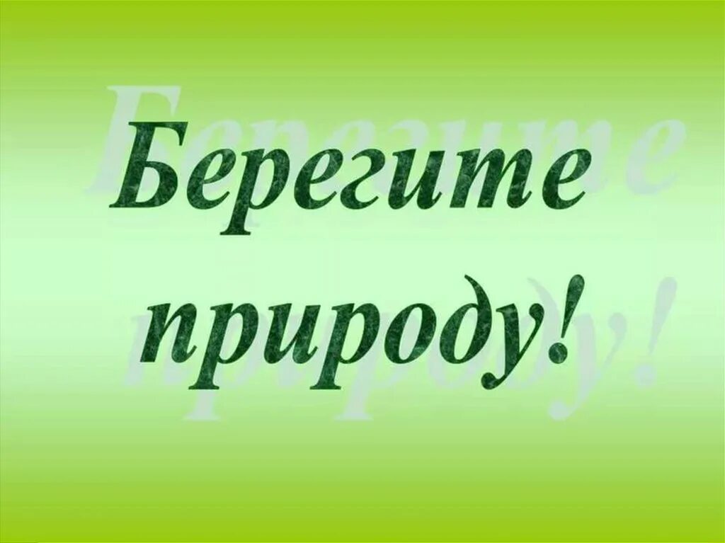Берегите природу друзья. Берегите природу. надпись берегите природу. надпись береги природу. природа берег.