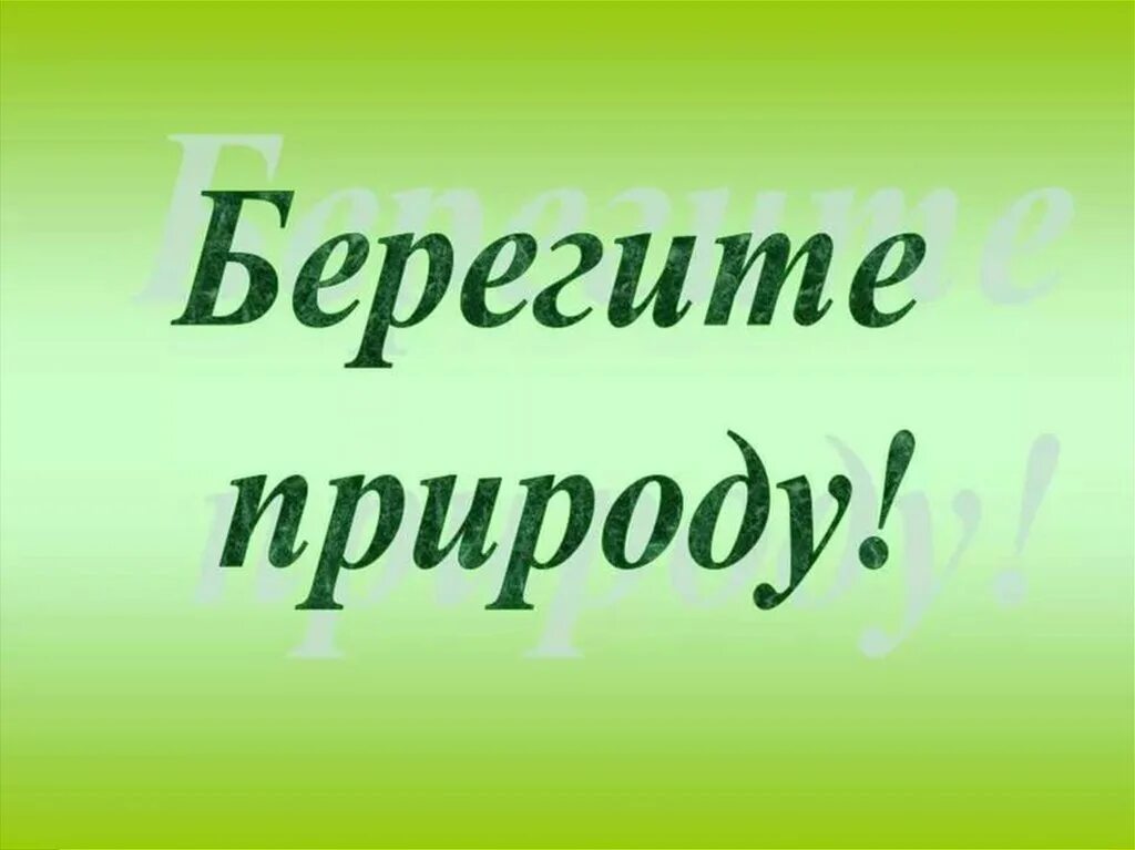 Берегите природу. Надпись берегите природу. Берегите природу надпись красивая. Надпись береги природу.