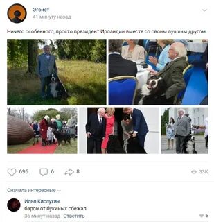 Комментарии пользователей