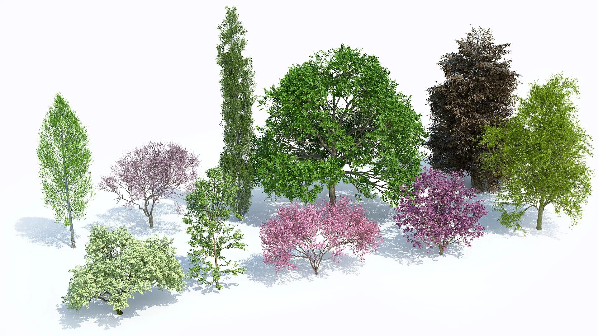 Деревья для визуализации. Деревья для фотошопа. Коллаж дерево. Кусты для визуализации. Группа деревьев 7