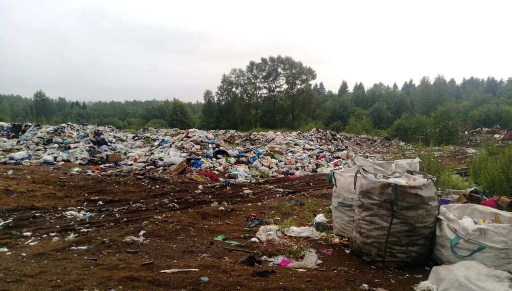 Погода рп5 нелидово тверская область на неделю. Мусорный полигон нелидово. тверь мусорный полигон. тбо полигон тверь. кимры мусорный полигон.