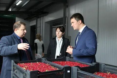 Тендеры вологодская