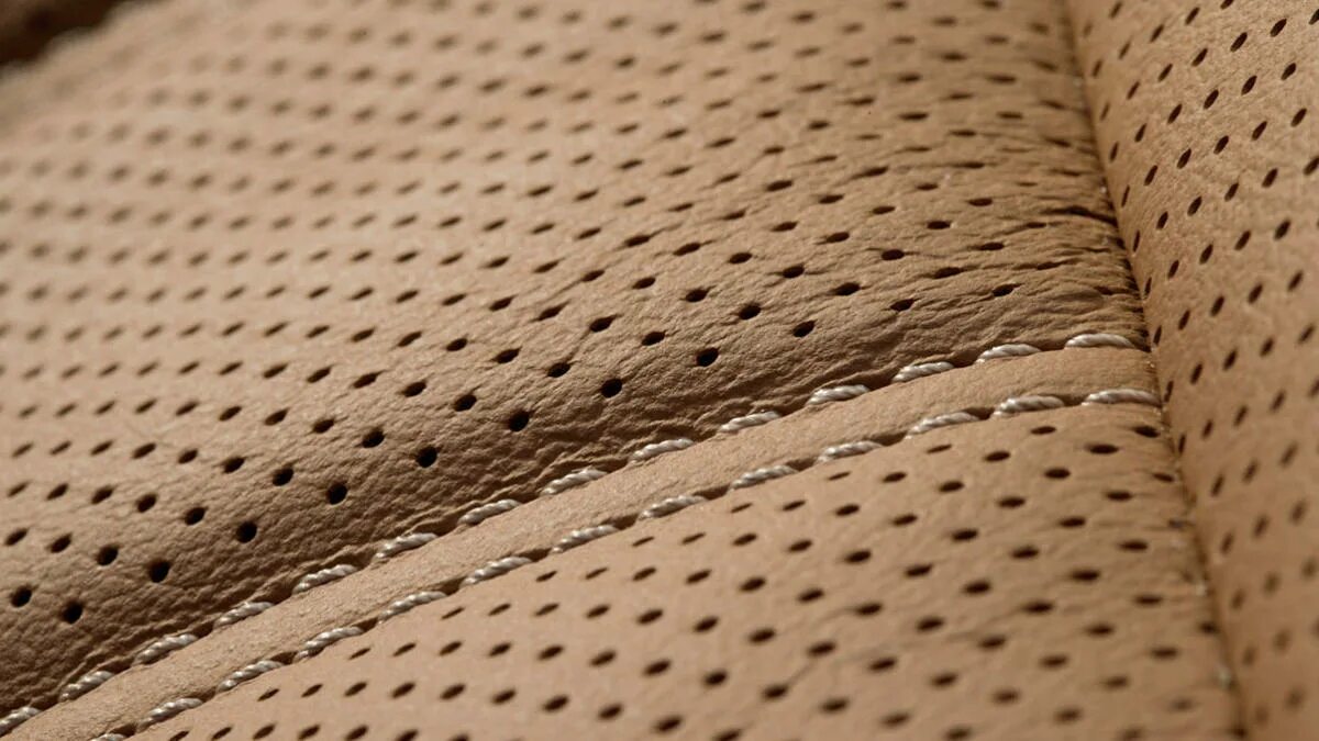 перфорированная кожа текстура. перфорированная натуральная кожа. натуральная кожа с перфорацией. перфорация r2 t3. перфорированная кожа.