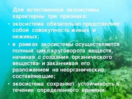 Типичные экосистемы