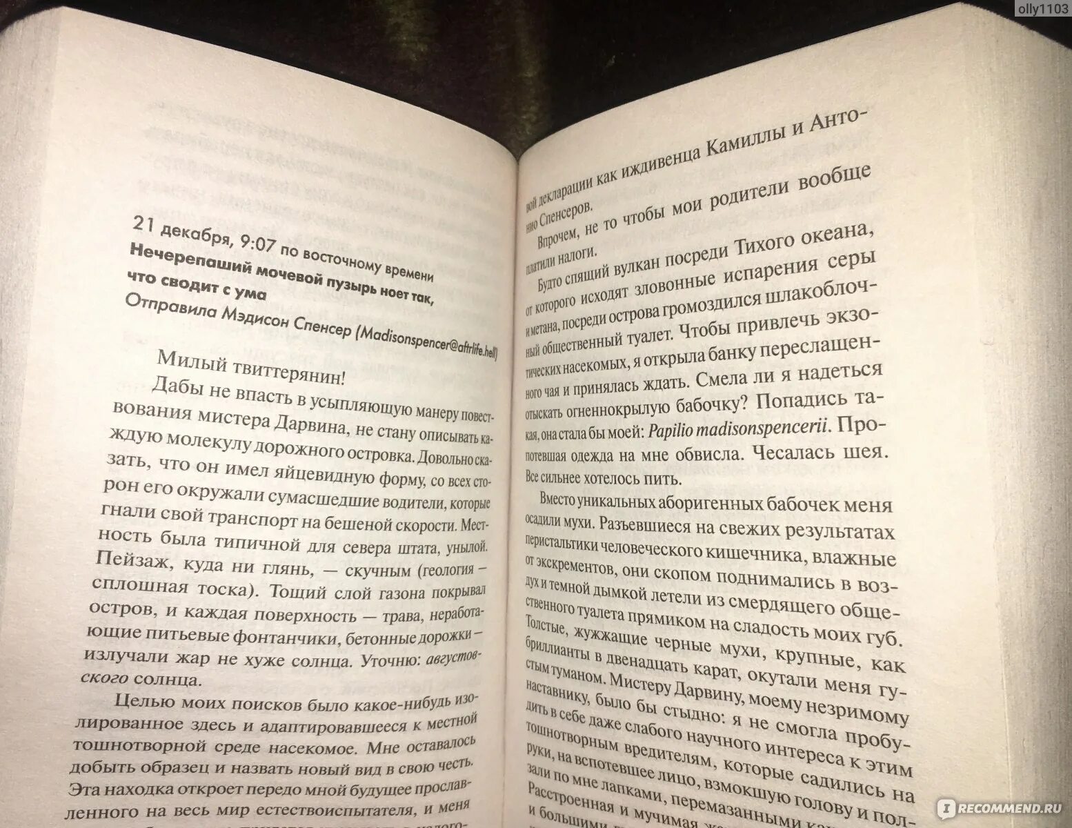 Книга обреченная отзывы. Обречённые Чак Паланик книга. Обречённые Чак Паланик книга читать. Прекрасные и обреченные книга. Все новые сказки Чак Паланик Джоанн Харрис книга.