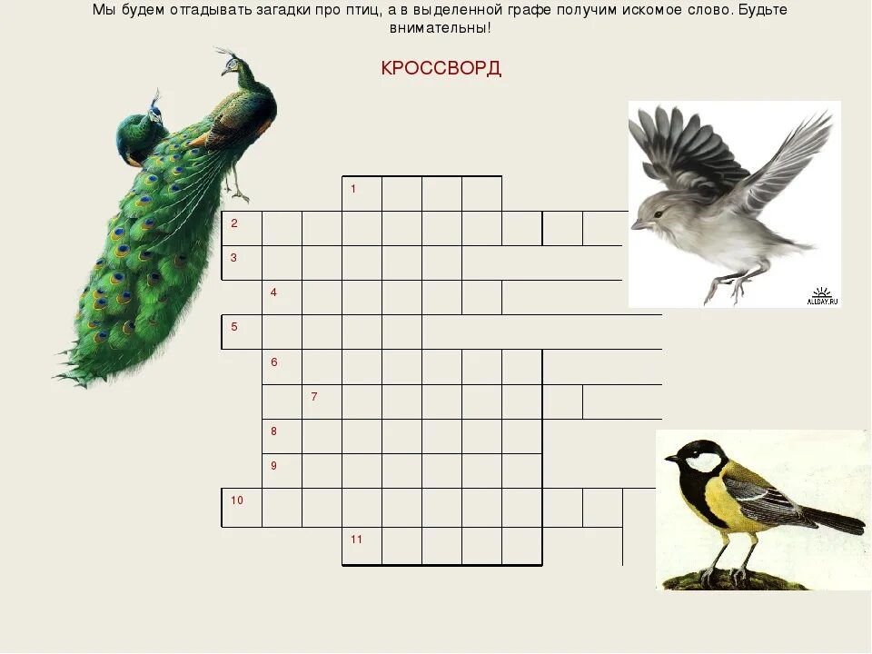 Загадки про птиц. День птиц загадки. Загадки про необычных птиц. Головоломка птицы.