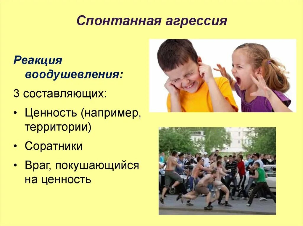 Спонтанная активность в психологии. Спонтанные интерес. Спонтанная агрессия. Спонтанные интерес. Спонтанность в психологии.