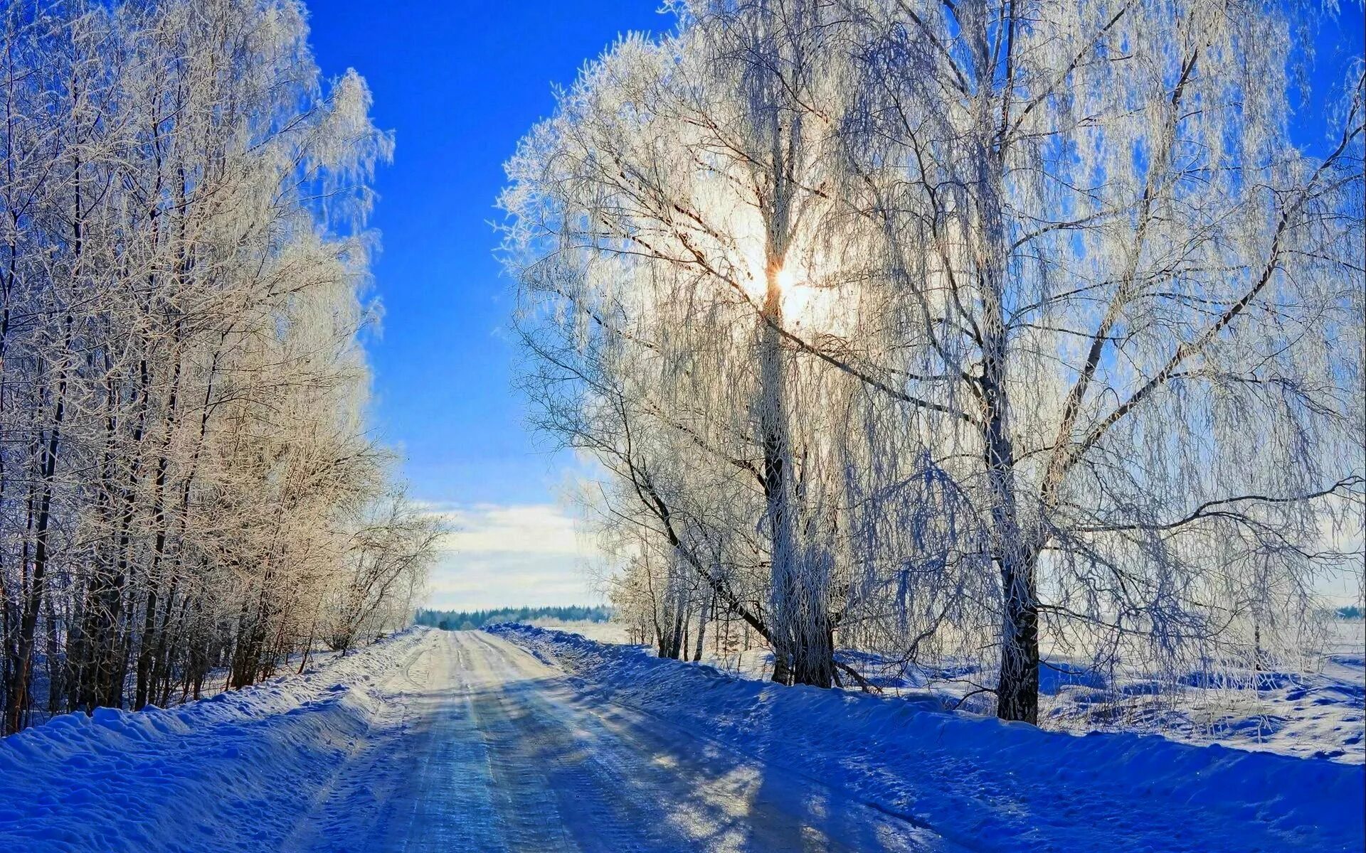 Природа зима. Зимний Солнечный пейзаж. Солнечный зимний день. Февраль природа. Солнечный день январь