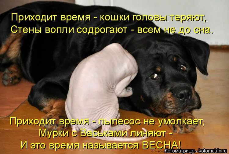 Приходит время люди головы теряют слушать. Приходит время люди головы теряют слушать