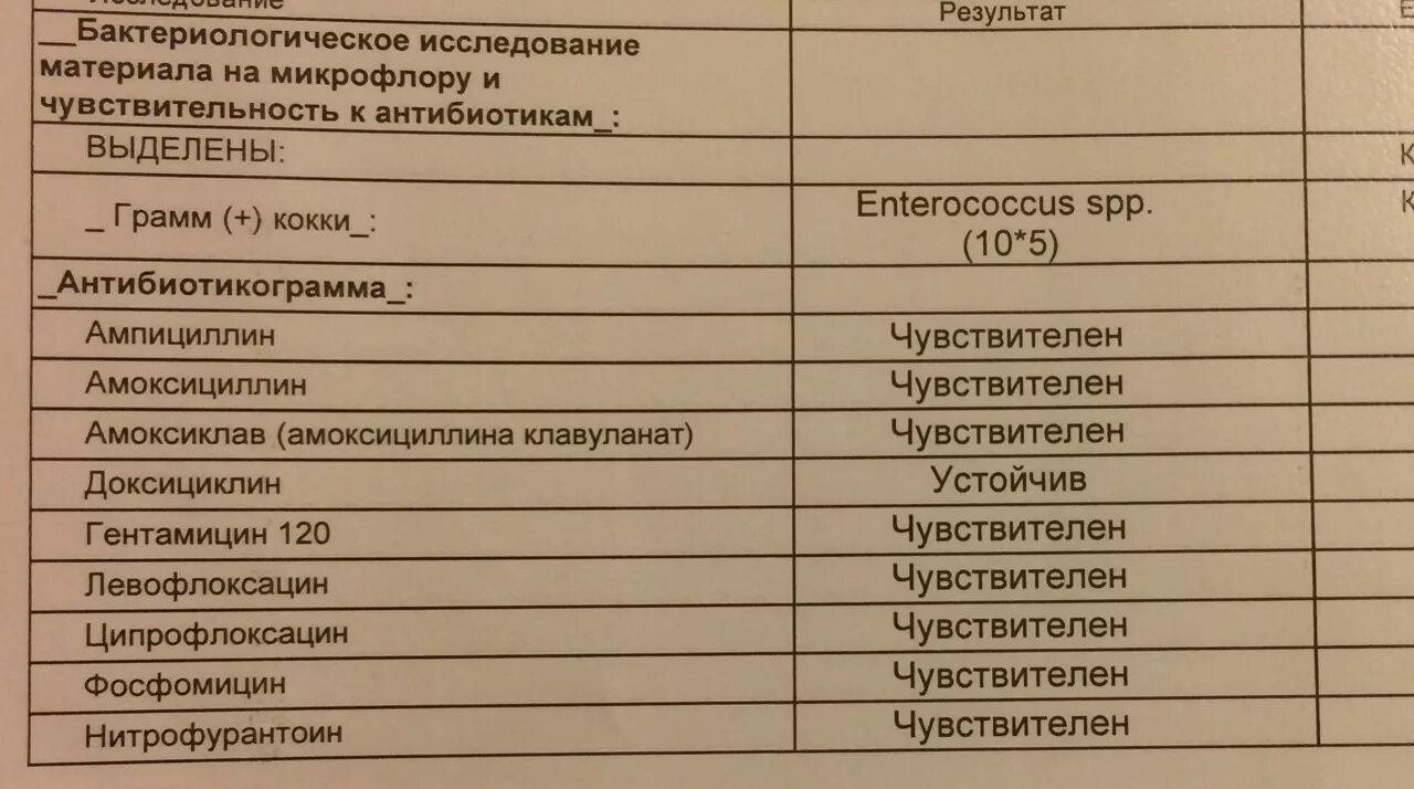 Бак посев на микрофлору и чувствительность. Бак посев на флору и чувствительность к антибиотикам расшифровка. Посев на микрофлору и чувствительность к антибиотикам расшифровка. Бак посев на флору и чувствительность к антибиотикам норма. Анализы на бак посев расшифровка.