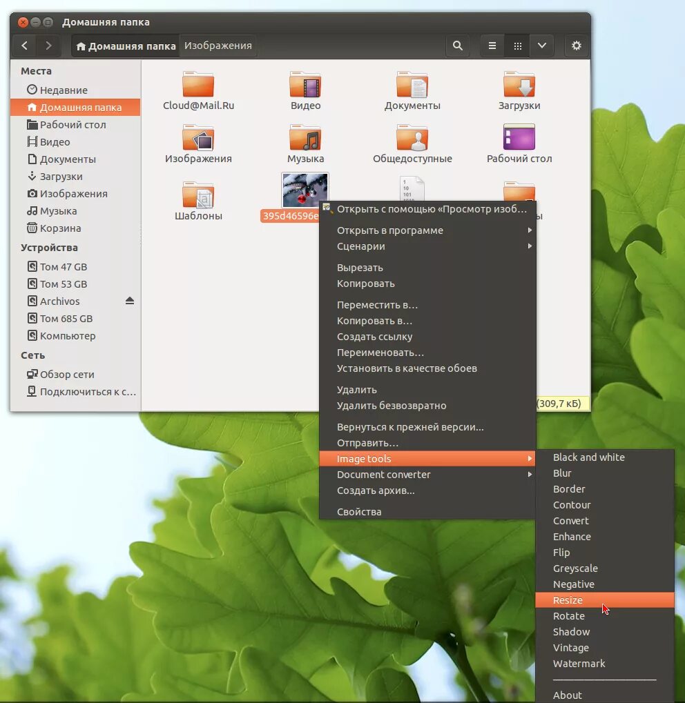 Nautilus linux. Системная утилита nautilus. nautilus проводник файлов. nautilus debian.