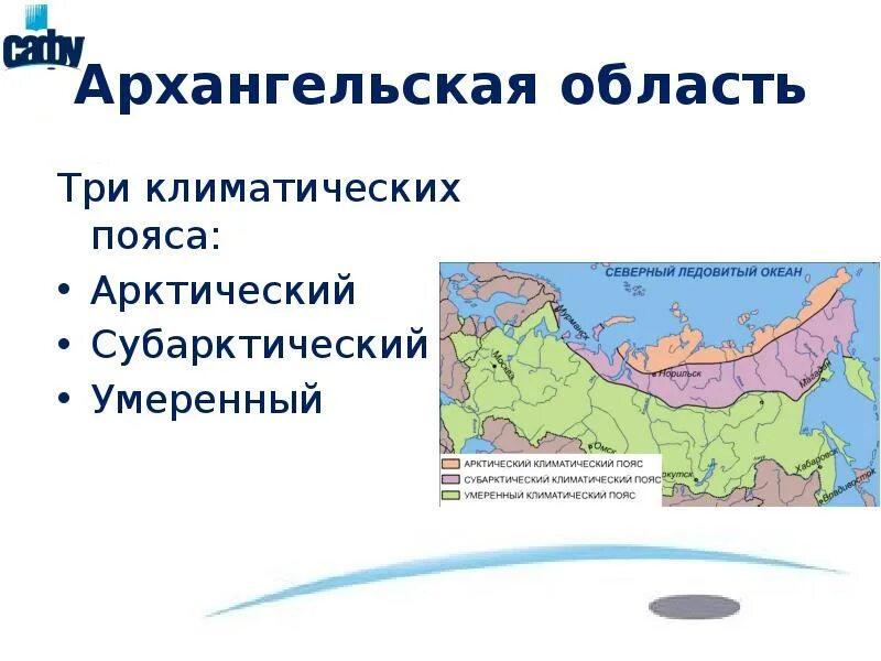 Природные зоны расположенные в умеренном поясе