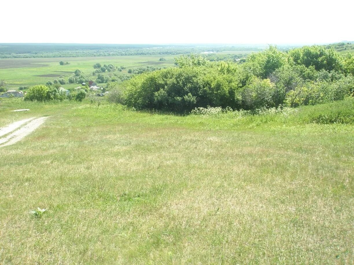 Пай воронежская область