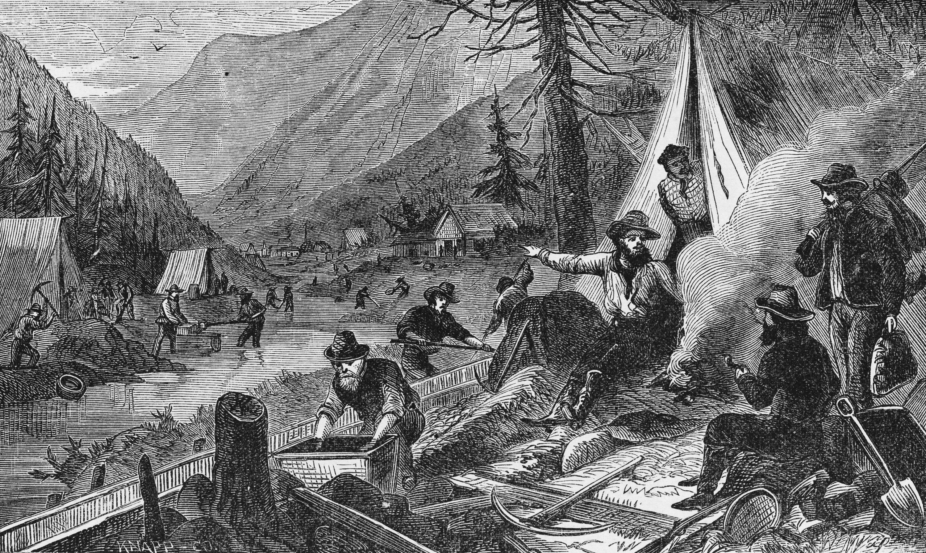 Золотая лихорадка 1849 калифорния. Земельная лихорадка в ам. Пятнистая лихорадка скалистых гор. Тесс герритсен "лихорадка". Лихорадка неправильного типа.