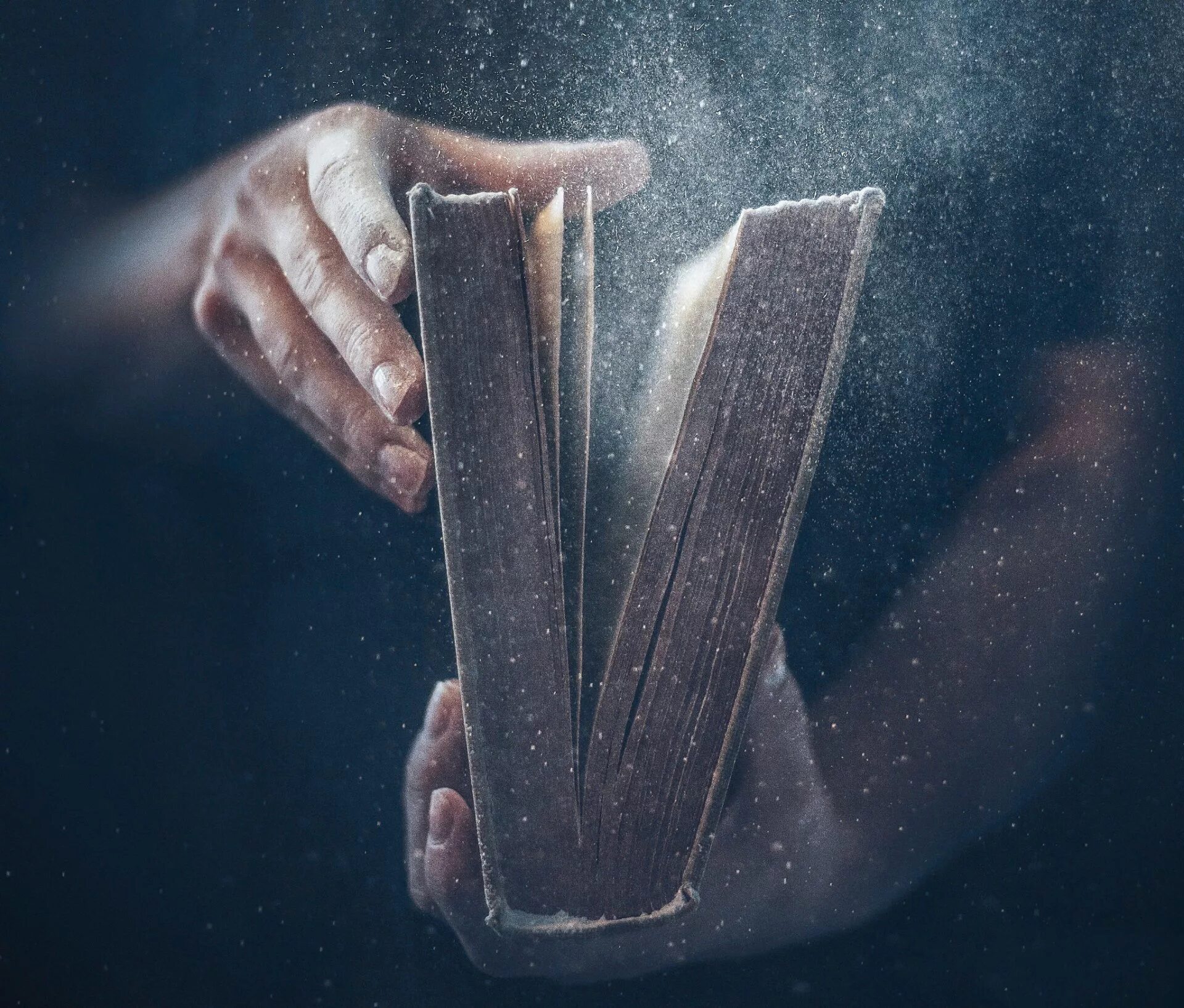 Раскрытая книга в руках. Книга в руках. Человек с книгой в руках. Книжка в руках. Библия в руках.