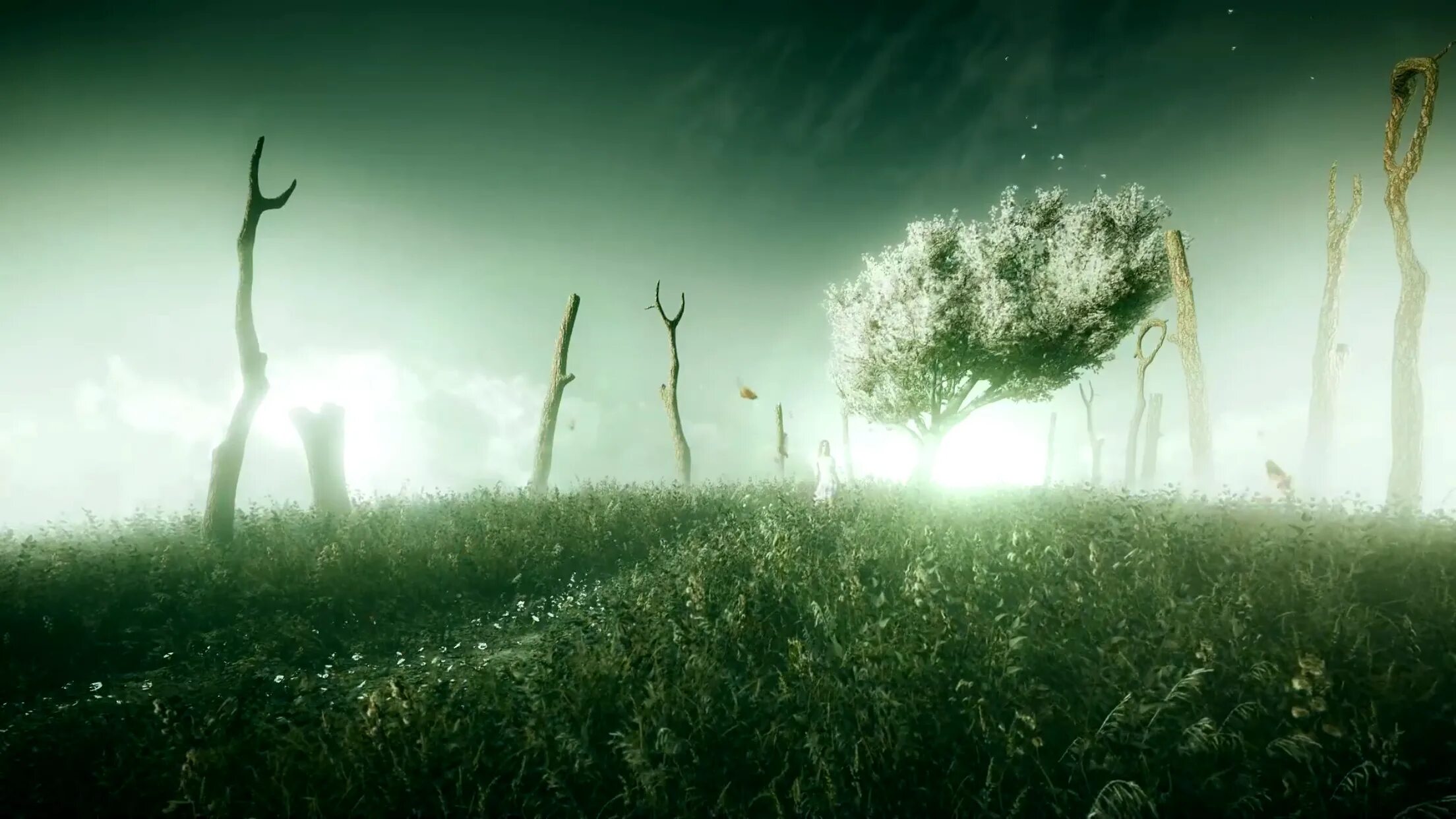 Блажь far cry цветок. Вера сид блажь. Дженесса грант вера сид. Фар край 5 иосиф сид 4к. Far cry 5 вера.