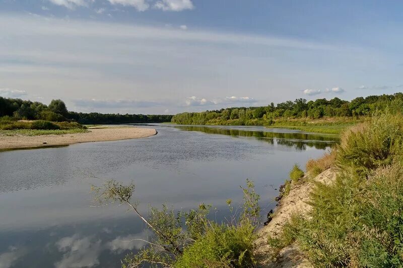 река сура в чувашии. мордовия саратов расстояние. река сура в чувашии. алатырь пенза. алатырь пенза.