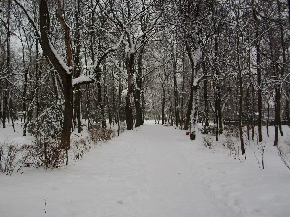 Погода в трубчевске. Городцы трубчевский район ул ленина 5. Погода трубчевск красное на 10 дней. Погода трубчевск красное на 10 дней. Брянск трубчевск достопримечательности.