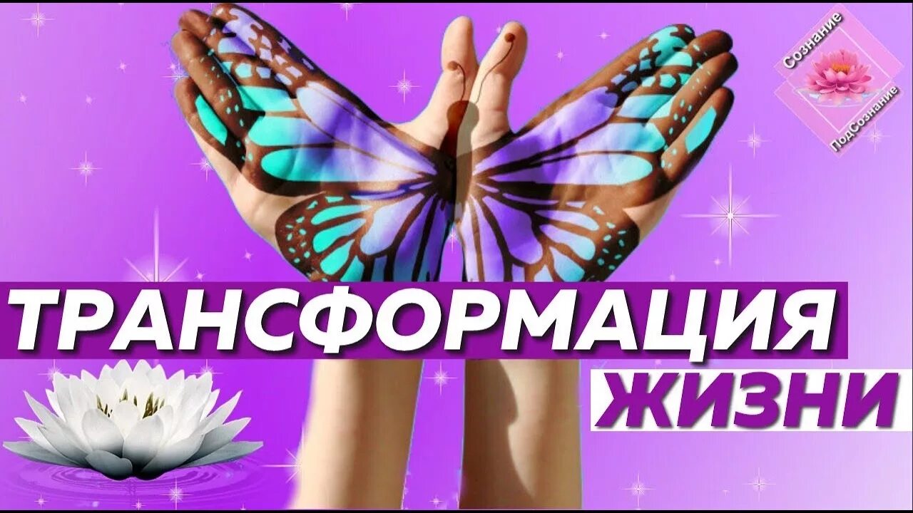 Рпт терапия что это. Биолистическая трансформация. Доска объявлений на python. Эктоморф бодибилдер. Трансформация мужчины.