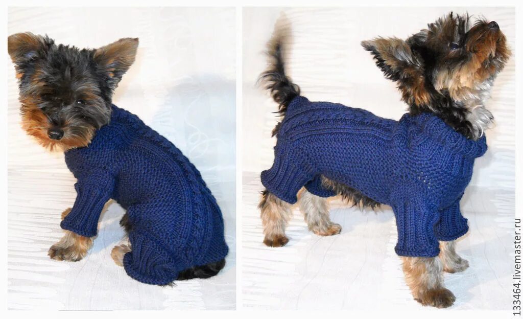 Как связать одежку. Как связать одежку. Вязаный свитер для собаки. Вязаная одежда для собак. Кофта для собаки.