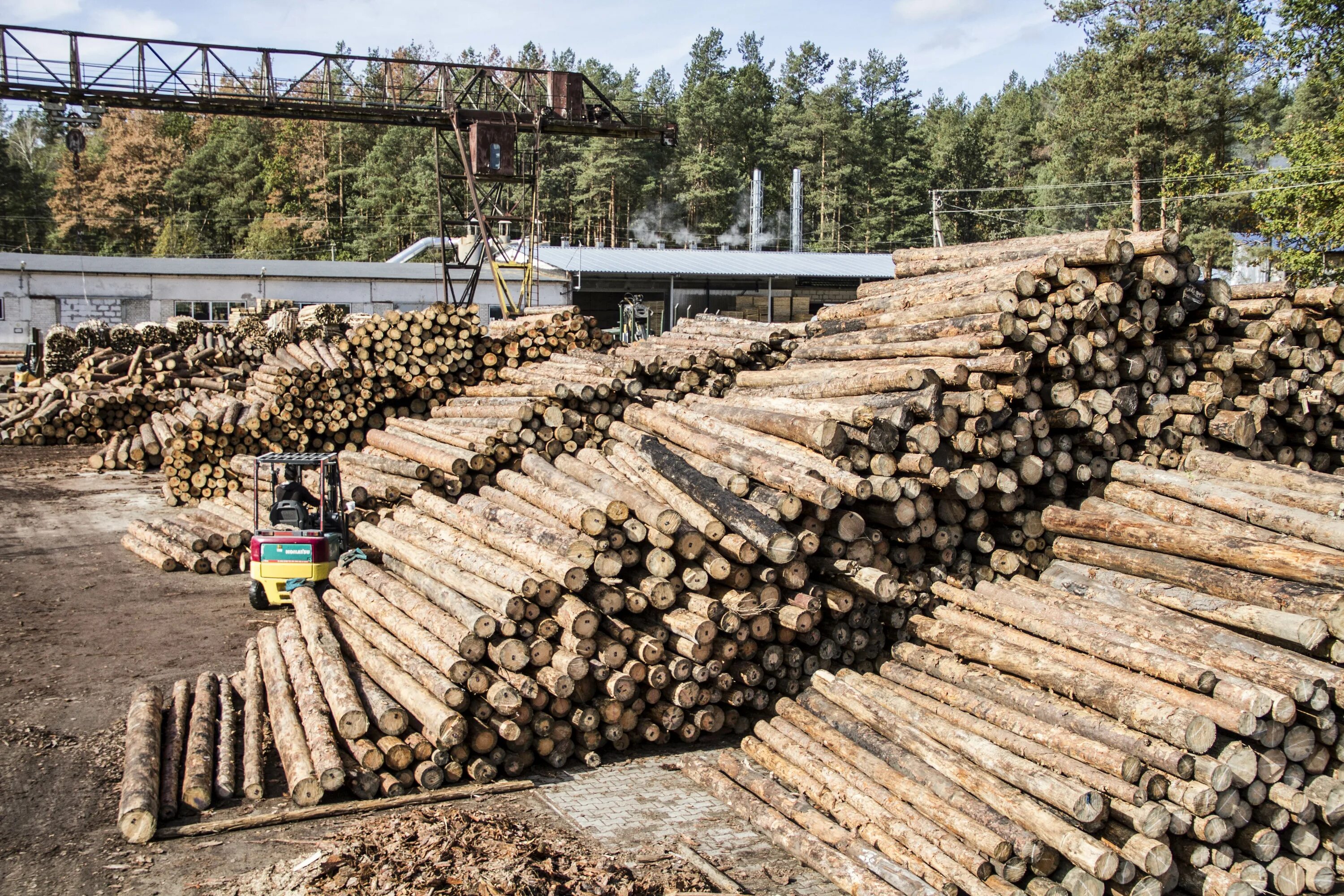 ао «кондопожское лесопромышленное хозяйство». леспромхоз карелия. делянка карелия. лесная промышленность восточной сибири. современная лесопилка.