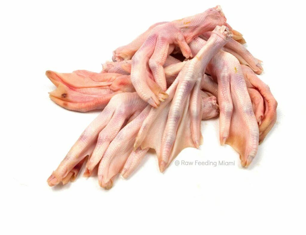 Duck feet. Утиные лапы. Утиные ноги. Нога утки замороженное.