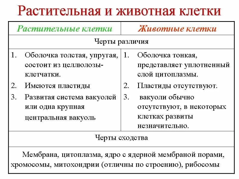Сходства и различия растительных клеток. Строение растительной и животной клетки сходства и различия таблица. черты сходства клеток растений и животной клетки. сходства и отличия в строении растительной и животной клетки таблица. сходства и отличия растительной и живой клетки таблица.