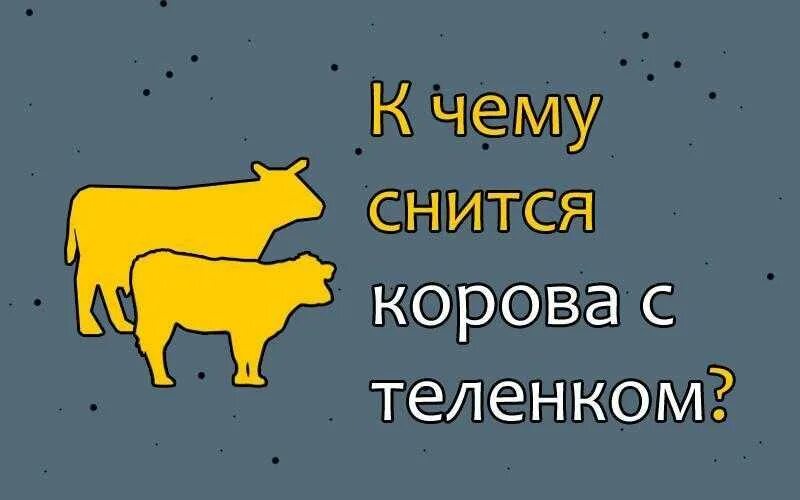 К чему снится корова. К чему снится корова с теленком. К чему снится корова во сне. К чему снится корова с теленком женщине.