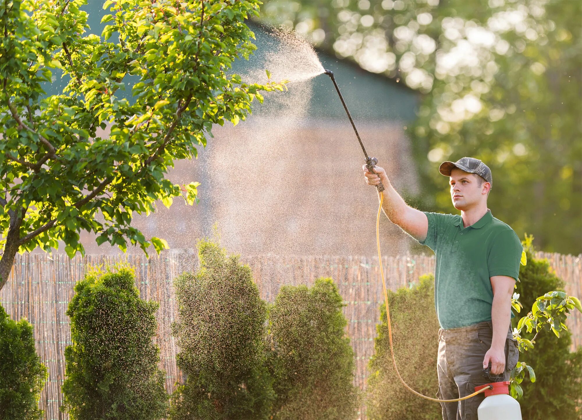 Tree control