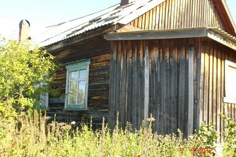 Погода в илиме шалинский