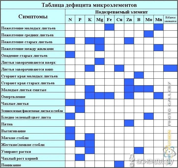 Можно ли совмещать удобрения