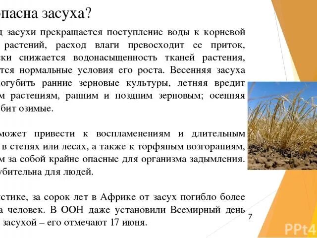 Сообщение о засухе. Причины засухи кратко. Что такое засуха кратко. Презентация на тему засуха.