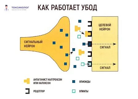 Детоксикация убод решение