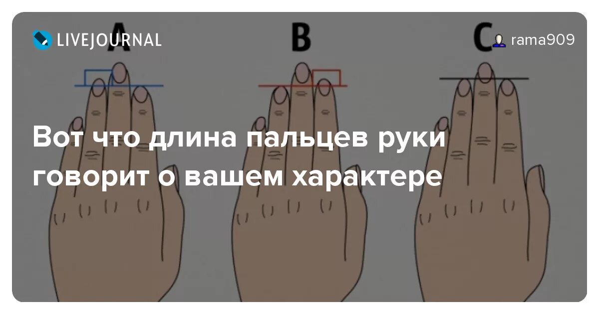 Какой тип пальцев рук. Длина пальцев. характер по длине пальцев рук. характер по пальцам рук. что говорит длина пальцев рук.