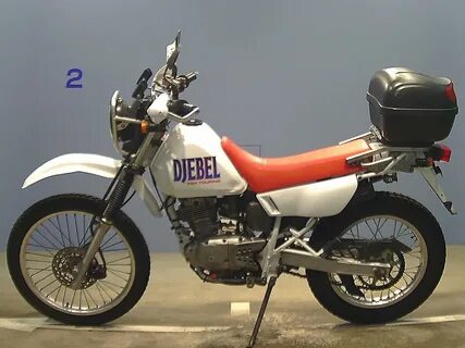 Suzuki djebel