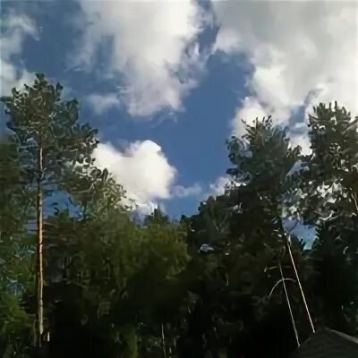 Снт лубянка