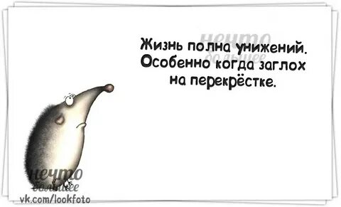 Их жизнь полна