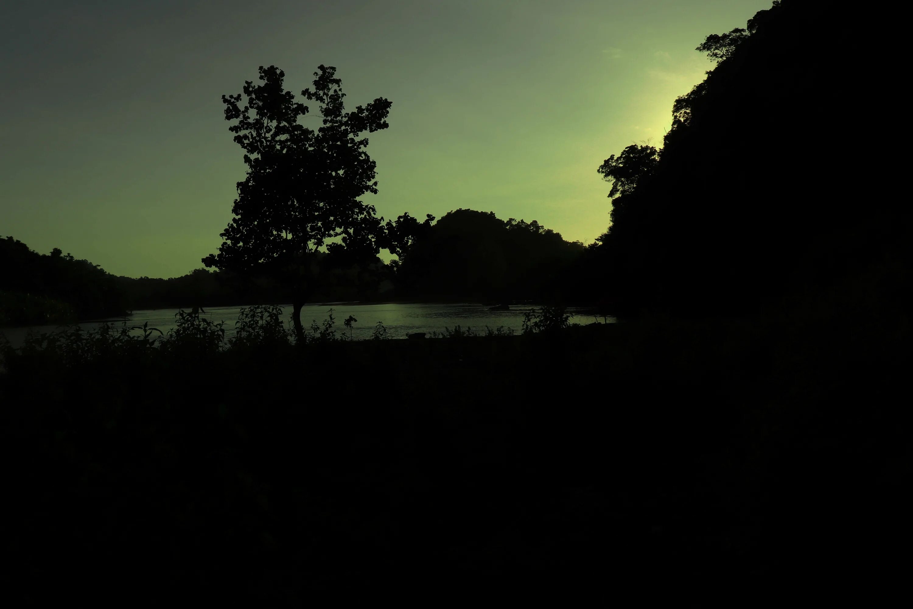 Темнота естественная. Dark Tree in the Evening.