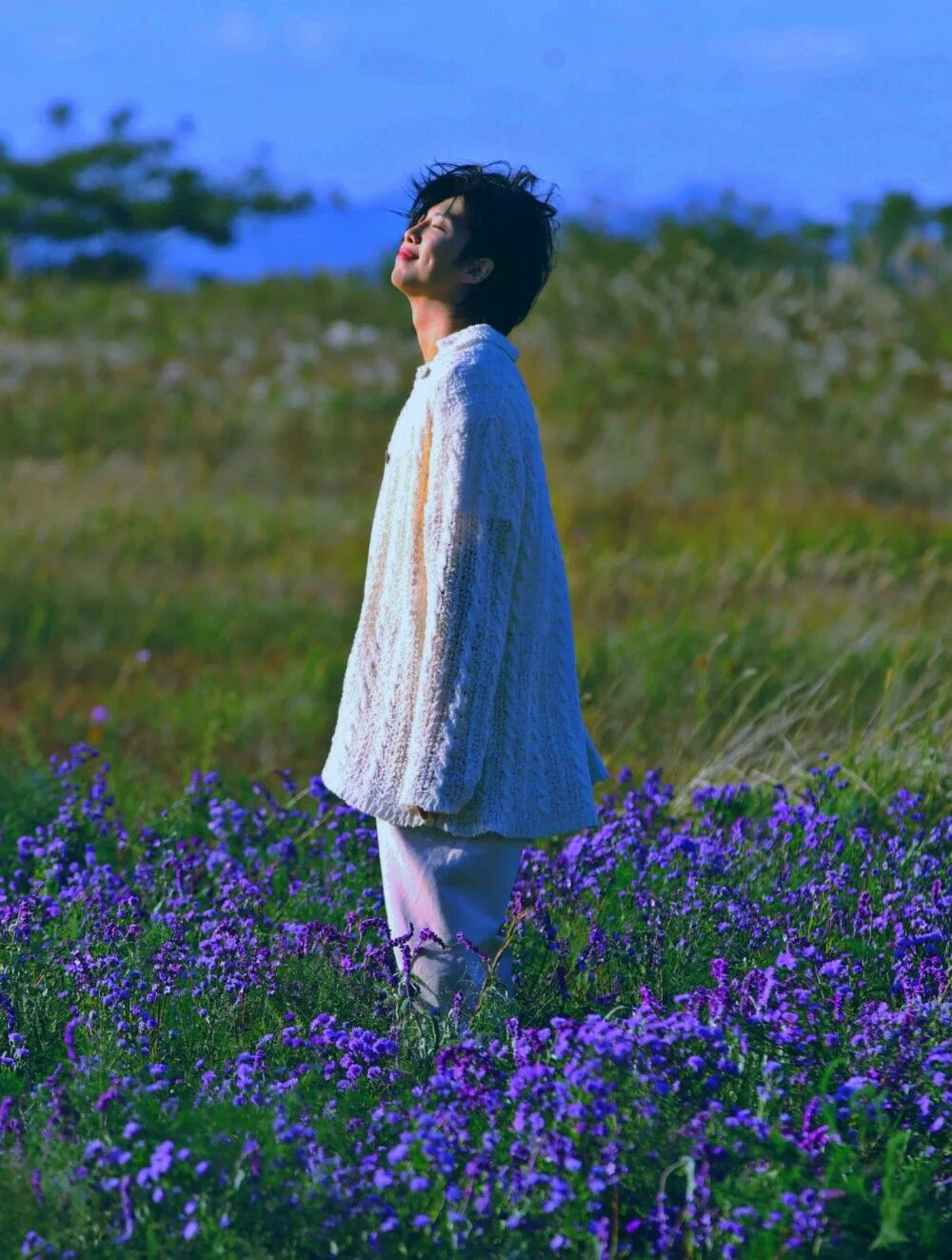 Rm wild flower. Rm wild flower