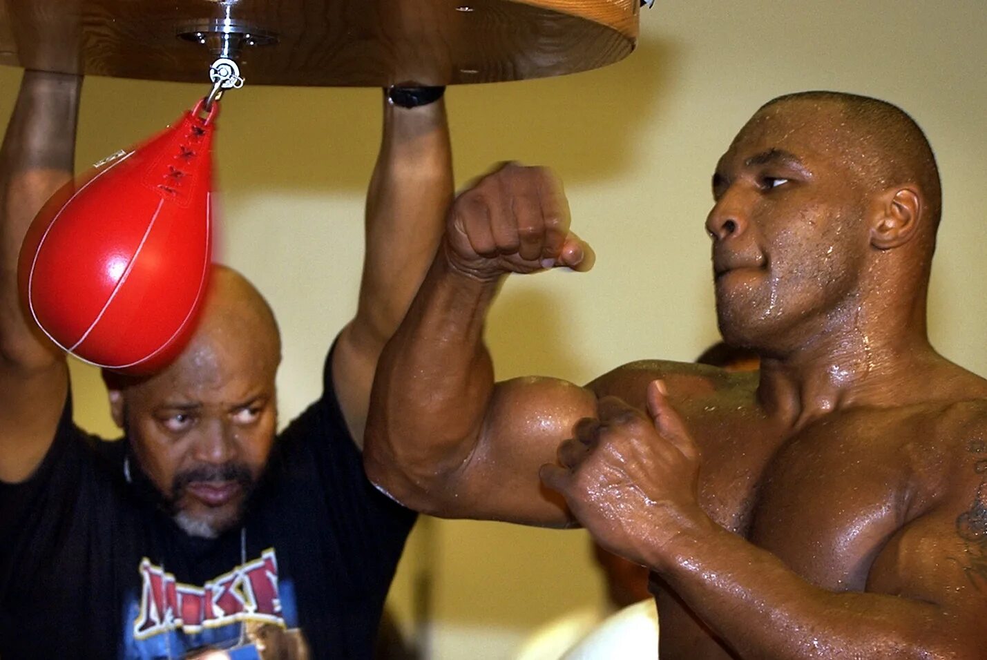 Программа тренировок майка. Майк тайсон 1998. Программа тренировок майка тайсона. Darebee boxer workout. Колорадский эксперимент программа тренировок.