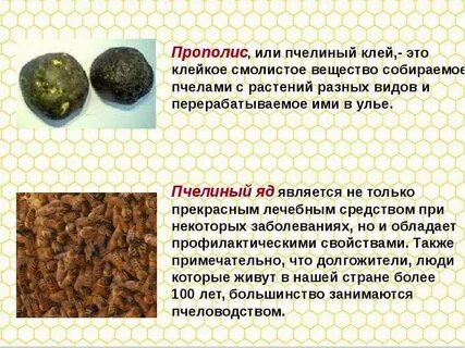 Какие свойства прополиса