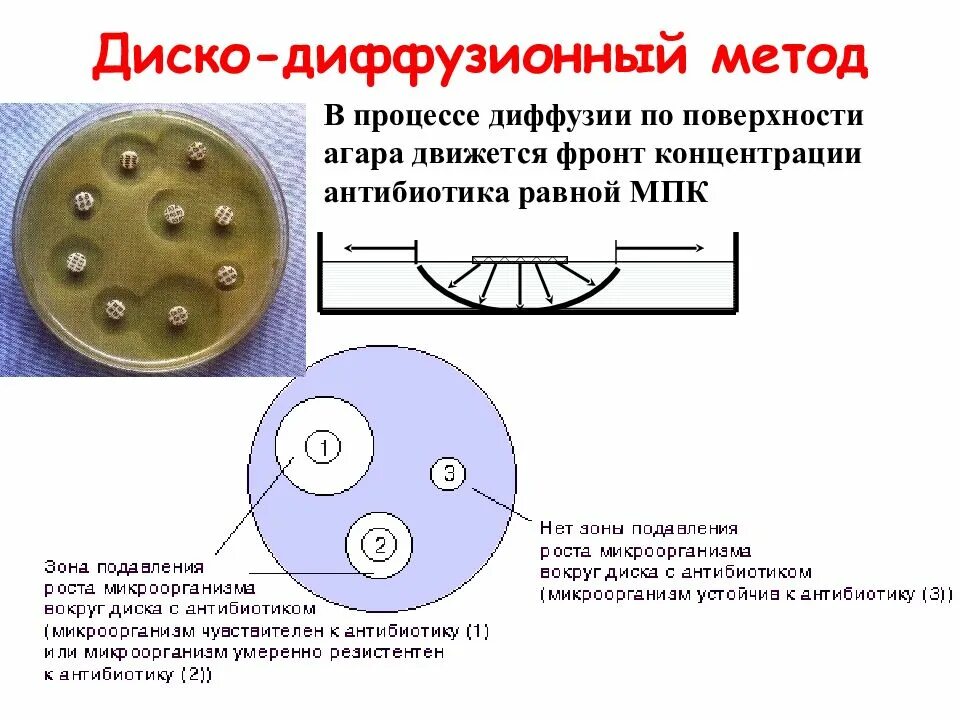 Диско диффузионный метод определения. Чувствительность антибиотиков методом диффузии в агар. диско диффузный метод антибиотики. чувствительность к антибиотикам диско-диффузионным методом. диско диффузионный метод микробиология.
