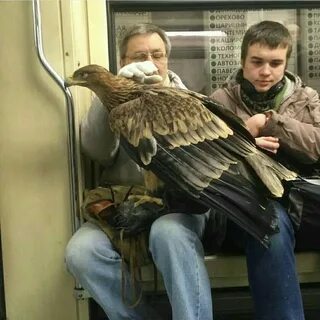 Метро орел